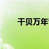 干貝萬年青（關于干貝萬年青介紹）