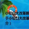 小切口大改革新突破：地方改革創新實踐案例研究2019（關于小切口大改革新突破：地方改革創新實踐案例研究2019簡介）