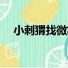 小刺猬找微笑（關于小刺猬找微笑簡介）