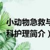 小動物急救與外科護理（關于小動物急救與外科護理簡介）