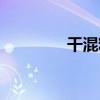 干混料（關于干混料介紹）