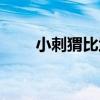 小刺猬比武（關于小刺猬比武簡介）