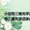 小動物三維光學活體成像及X光電腦斷層掃描儀（關于小動物三維光學活體成像及X光電腦斷層掃描儀簡介）