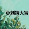 小刺猬大冒險（關于小刺猬大冒險簡介）
