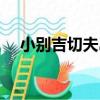 小別吉切夫島（關于小別吉切夫島簡介）