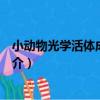 小動物光學活體成像系統（關于小動物光學活體成像系統簡介）