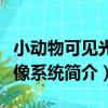 小動物可見光成像系統（關于小動物可見光成像系統簡介）