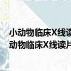 小動物臨床X線讀片訓練——判讀方法和思考方法（關于小動物臨床X線讀片訓練——判讀方法和思考方法簡介）