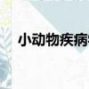 小動物疾病學（關于小動物疾病學簡介）
