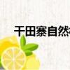 干田寨自然村（關于干田寨自然村介紹）