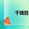 干燒目魚（關于干燒目魚介紹）