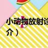 小動物放射診斷學（關于小動物放射診斷學簡介）