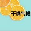 干燥氣候類（關于干燥氣候類介紹）