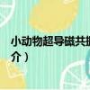 小動物超導磁共振成像儀（關于小動物超導磁共振成像儀簡介）