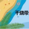 干燒帶魚（關于干燒帶魚介紹）