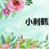 小刺鶴虱（關于小刺鶴虱簡介）