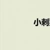 小刺猬（關于小刺猬簡介）