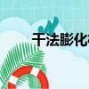 干法膨化機（關于干法膨化機介紹）
