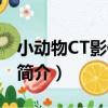 小動物CT影像系統（關于小動物CT影像系統簡介）