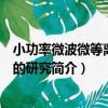 小功率微波微等離子體的研究（關于小功率微波微等離子體的研究簡介）