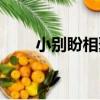 小別盼相聚（關于小別盼相聚簡介）