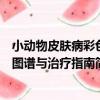 小動物皮膚病彩色圖譜與治療指南（關于小動物皮膚病彩色圖譜與治療指南簡介）