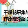 干燥花采集與制作原理（關于干燥花采集與制作原理介紹）