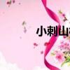 小刺山柑（關于小刺山柑簡介）
