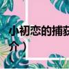 小初戀的捕獲方法（關于小初戀的捕獲方法簡介）