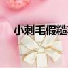 小刺毛假糙蘇（關于小刺毛假糙蘇簡介）