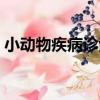 小動物疾病診治（關于小動物疾病診治簡介）
