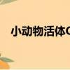 小動物活體CT（關于小動物活體CT簡介）