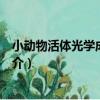 小動物活體光學成像系統（關于小動物活體光學成像系統簡介）