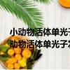 小動物活體單光子發射X線透射計算機斷層掃描儀（關于小動物活體單光子發射X線透射計算機斷層掃描儀簡介）