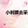 小刺猬去采摘（關于小刺猬去采摘簡介）