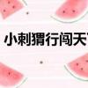 小刺猬行闖天下（關于小刺猬行闖天下簡介）