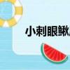 小刺眼鰍屬（關于小刺眼鰍屬簡介）