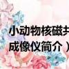 小動物核磁共振成像儀（關于小動物核磁共振成像儀簡介）