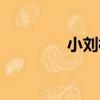小劉村（關于小劉村簡介）