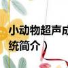 小動物超聲成像系統（關于小動物超聲成像系統簡介）