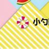 小勺鷸（關于小勺鷸簡介）