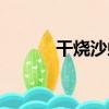 干燒沙蝦（關于干燒沙蝦介紹）