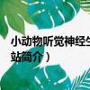 小動物聽覺神經生理工作站（關于小動物聽覺神經生理工作站簡介）