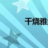 干燒雅魚（關于干燒雅魚介紹）
