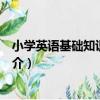 小學英語基礎知識總復習（關于小學英語基礎知識總復習簡介）