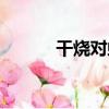干燒對蝦（關于干燒對蝦介紹）