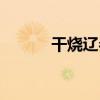 干燒遼參（關于干燒遼參介紹）