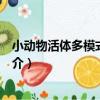 小動物活體多模式成像儀（關于小動物活體多模式成像儀簡介）
