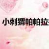 小刺猬帕帕拉拉（關于小刺猬帕帕拉拉簡介）