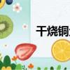 干燒銅魚（關于干燒銅魚介紹）
